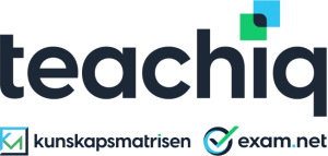 Logo teachiq