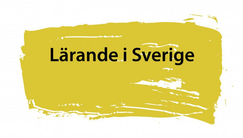 Lärande i Sverige